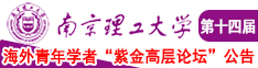 www.ribishipin南京理工大学第十四届海外青年学者紫金论坛诚邀海内外英才！